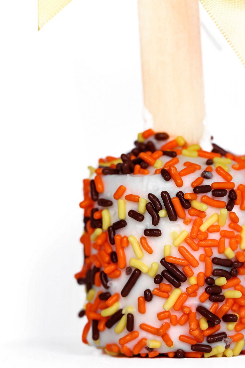Happy Harvest Gourmet Chocolate Covered Marshmallows