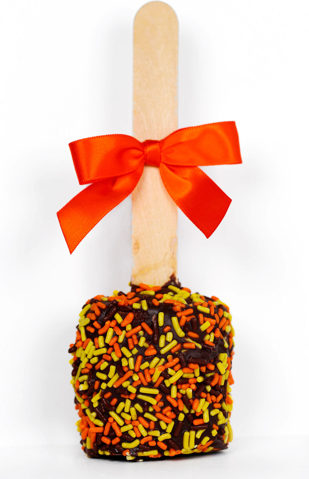 Happy Harvest Gourmet Chocolate Covered Marshmallows