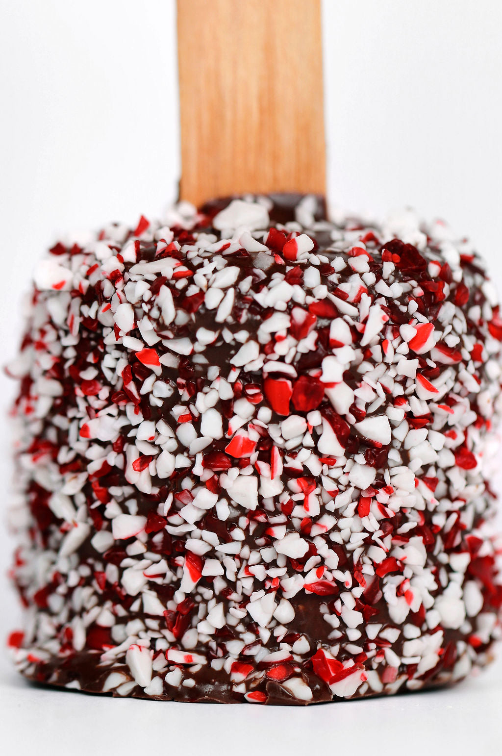 Gourmet Peppermint Chocolate Covered Marshmallow