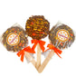 Happy Harvest Popcorn Pops