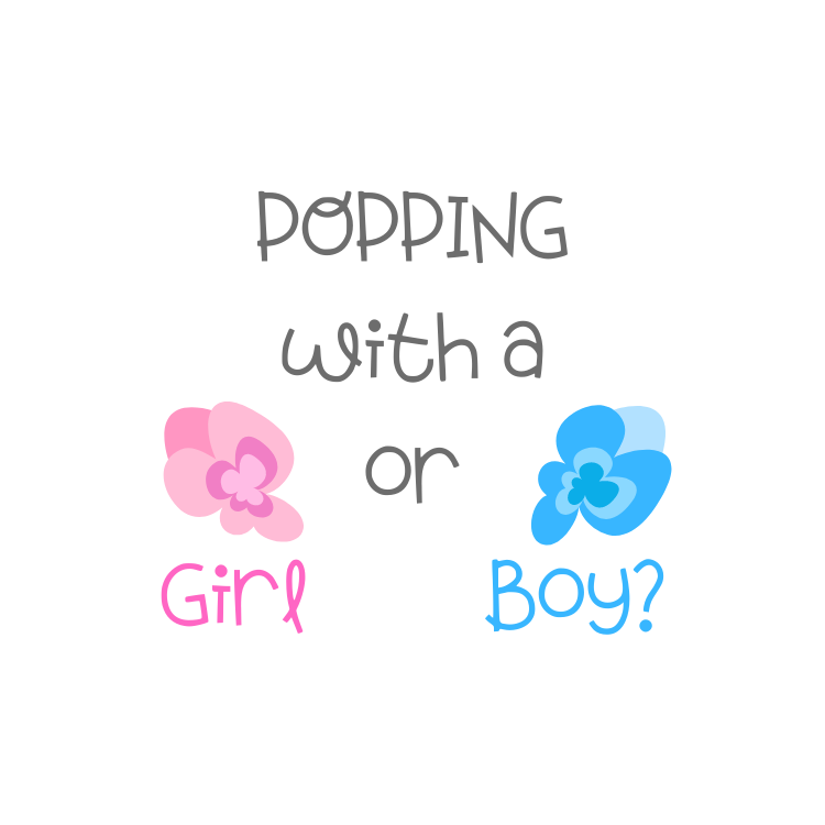 Gender Reveal Gourmet Mini Popcorn Cakes